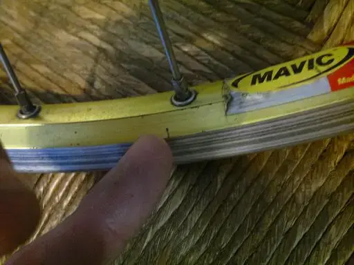 Lemon Mavic1.webp
