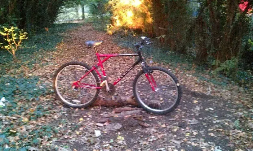 morning mtb.webp