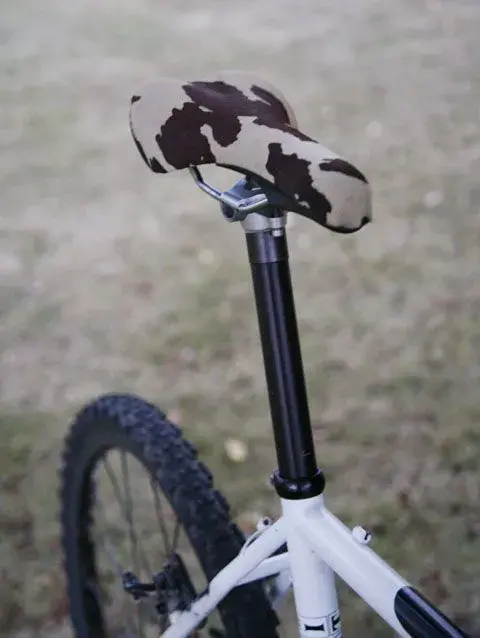 Cow8.webp