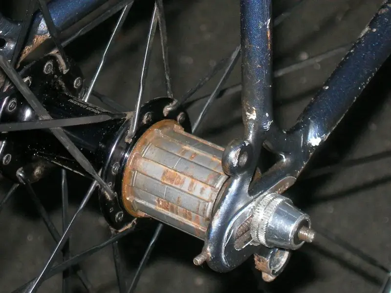 AUTUMN 2011 025.webp