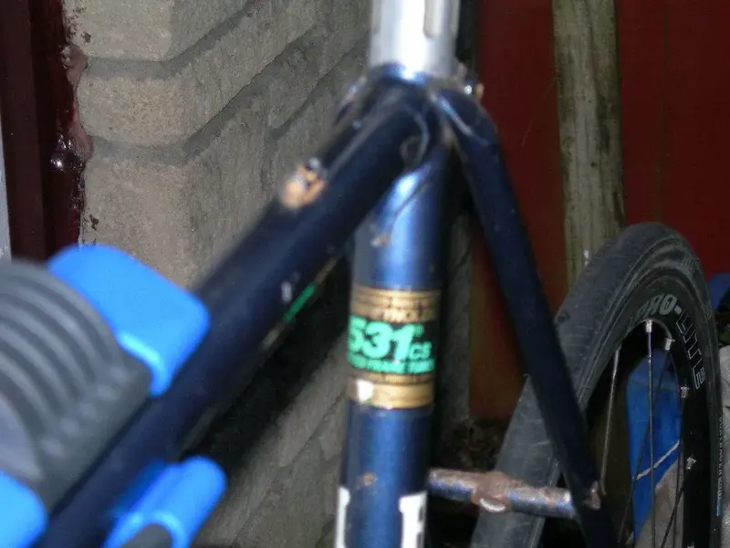 AUTUMN 2011 023.webp