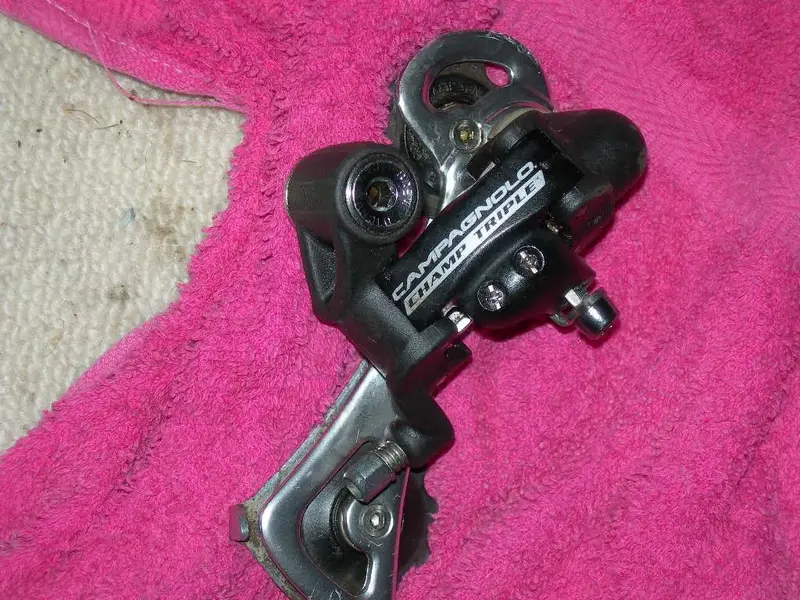 campag 002.webp