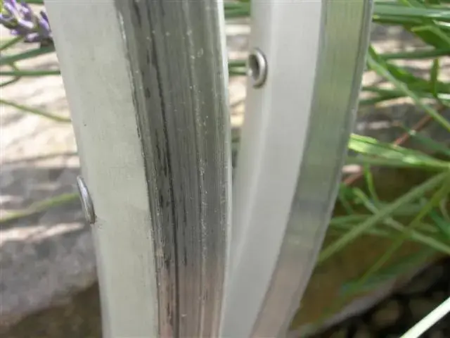 DSCN6687 (Small).webp