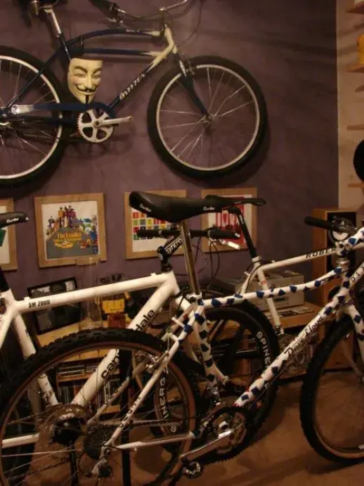 bikes 2404.webp