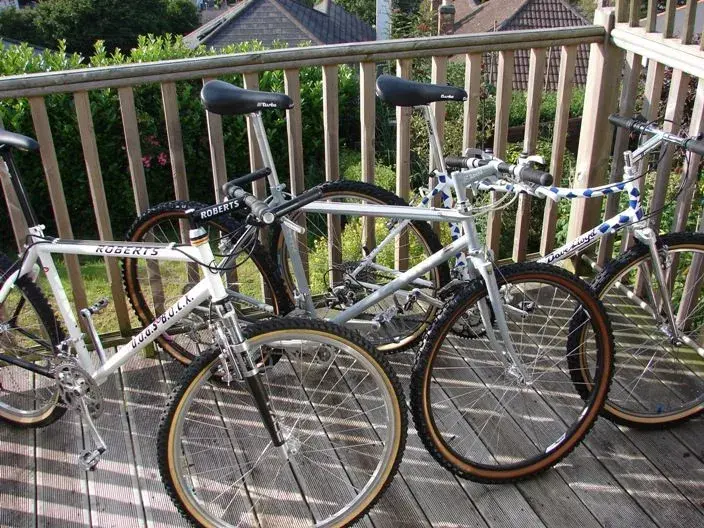 bikes 4755.webp