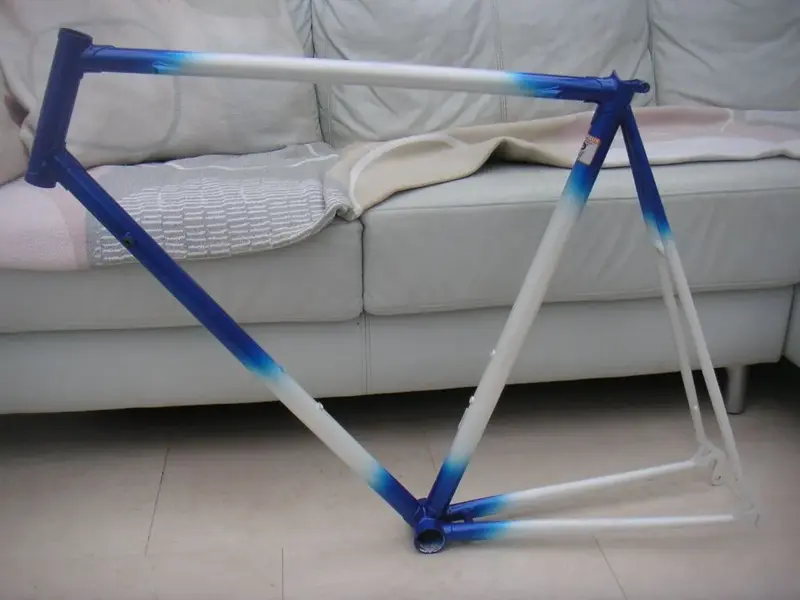 blue 1.webp
