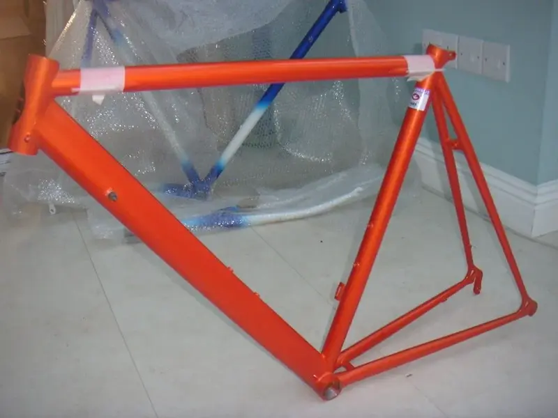 orange 2.webp