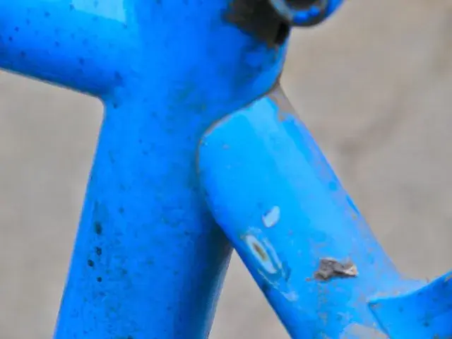 Haro 2.webp