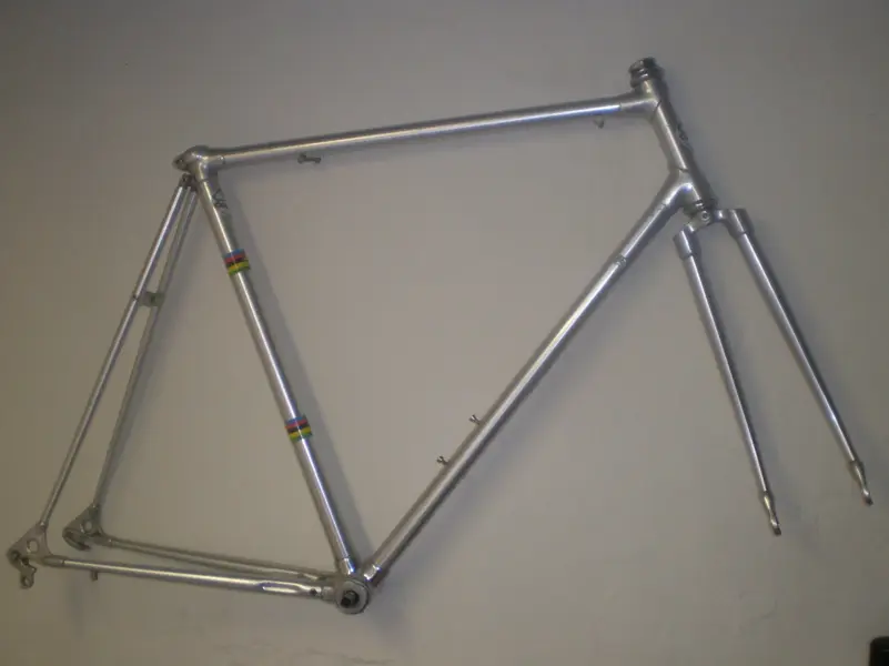 ALAN.webp