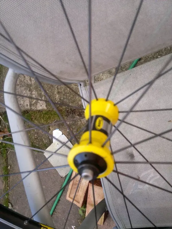 yellow 002.webp
