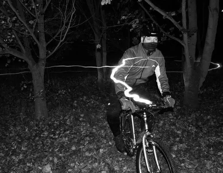 Nocturnal Activity.webp
