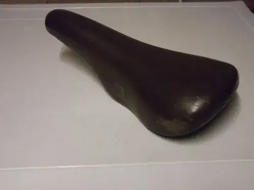 DSCF1377.webp