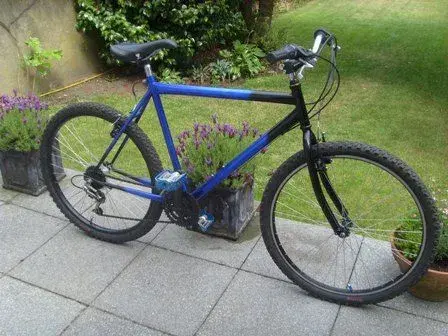 Blue Falcon.webp