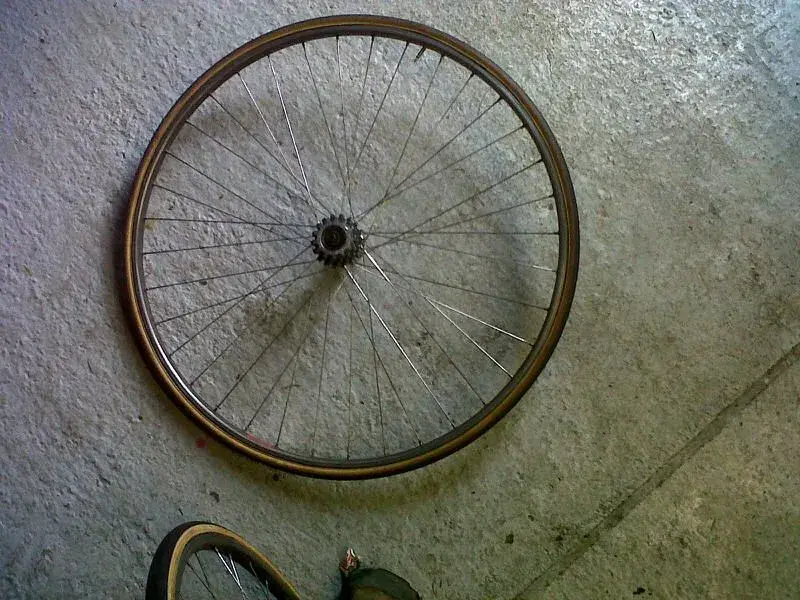 IMG-20110918-00019.webp