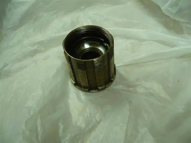 P1060283 (Large).webp
