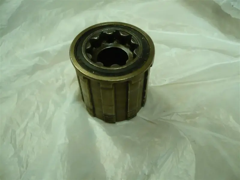 P1060284 (Large).webp