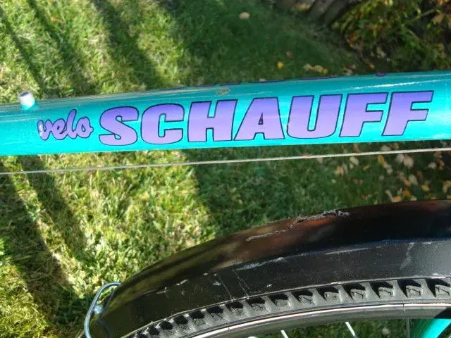 Schauff 5.webp