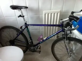 Saracen.webp