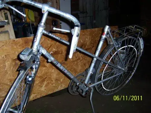 batavus.webp