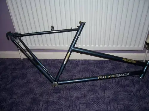 ridgeback other.webp