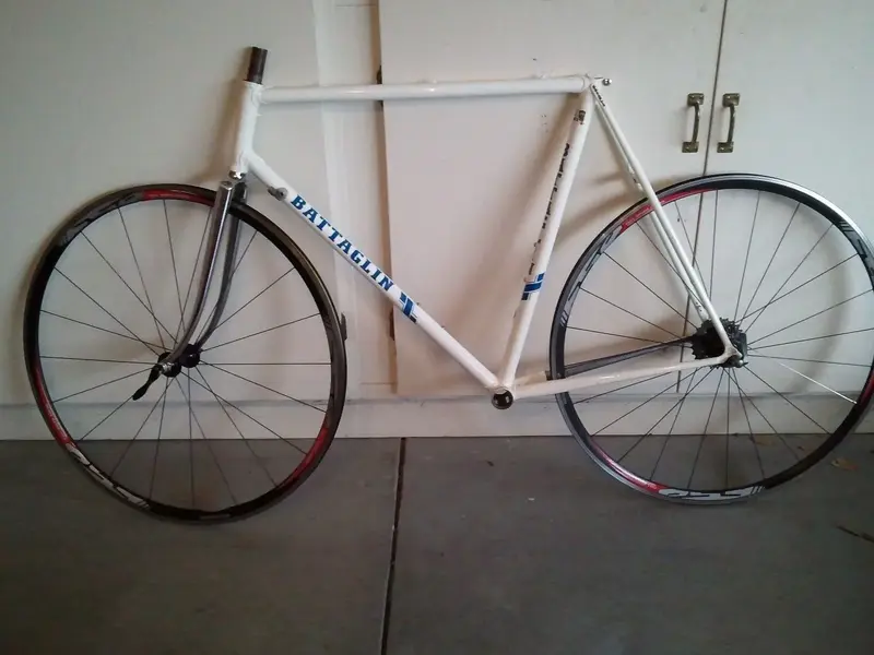 Battaglin stripped.webp