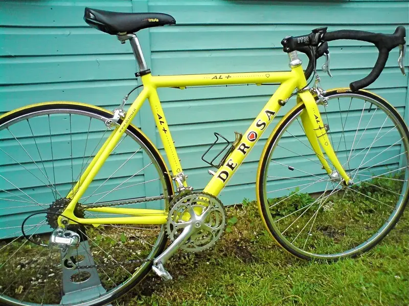 de rosa 2.webp