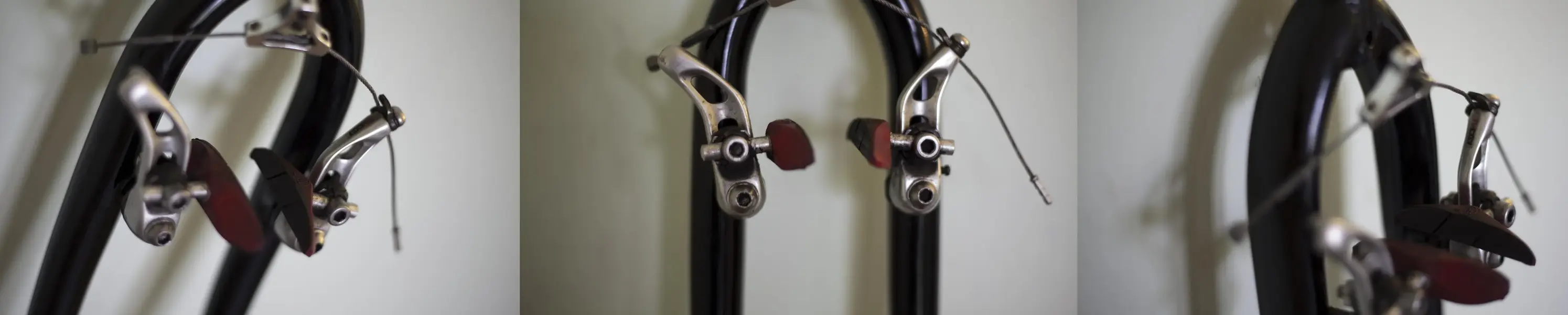 stx canti's.webp