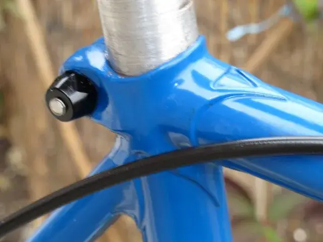 new bike 003.webp