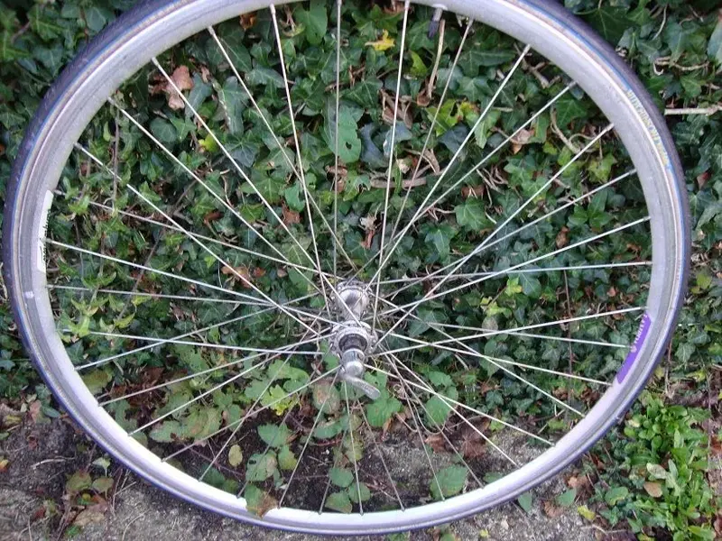 Campag Lambda 105 front.webp