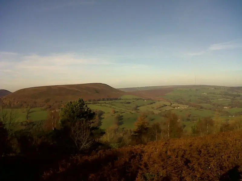IMG00217-20111118-1217.webp