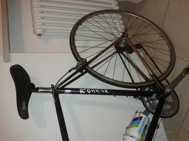 IMG_20111122_200111.webp