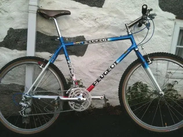 pugfinalbikelight_jpg_opt632x474o0,0s632x474.webp