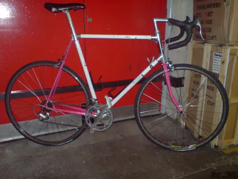 pink dyna.webp