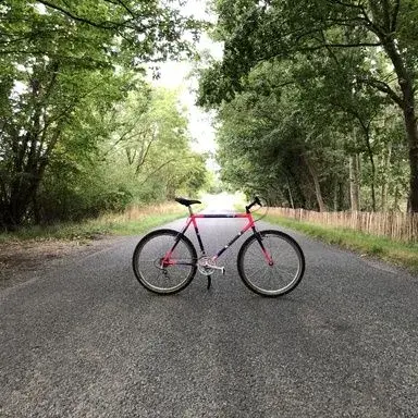 Hoffman Flash late 90u0027s - value?  Retrobike