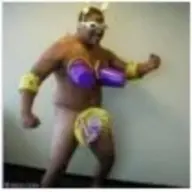 permaflex