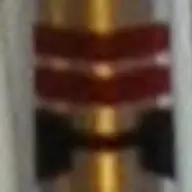 Lapsus