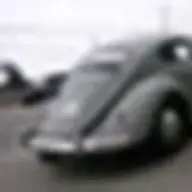 anim8