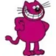 custardcat