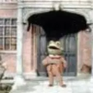 toadoftoadhall