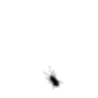 Zanza