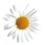 valerlero