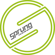 sprungsuspension