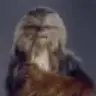 The Wookie