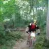 BikeShopNick