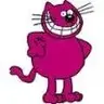 custardcat