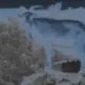 dantheman