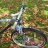 PlastObike