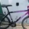 Terrago '94
