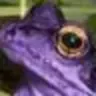 PurpleFrog