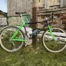 Pitti_86